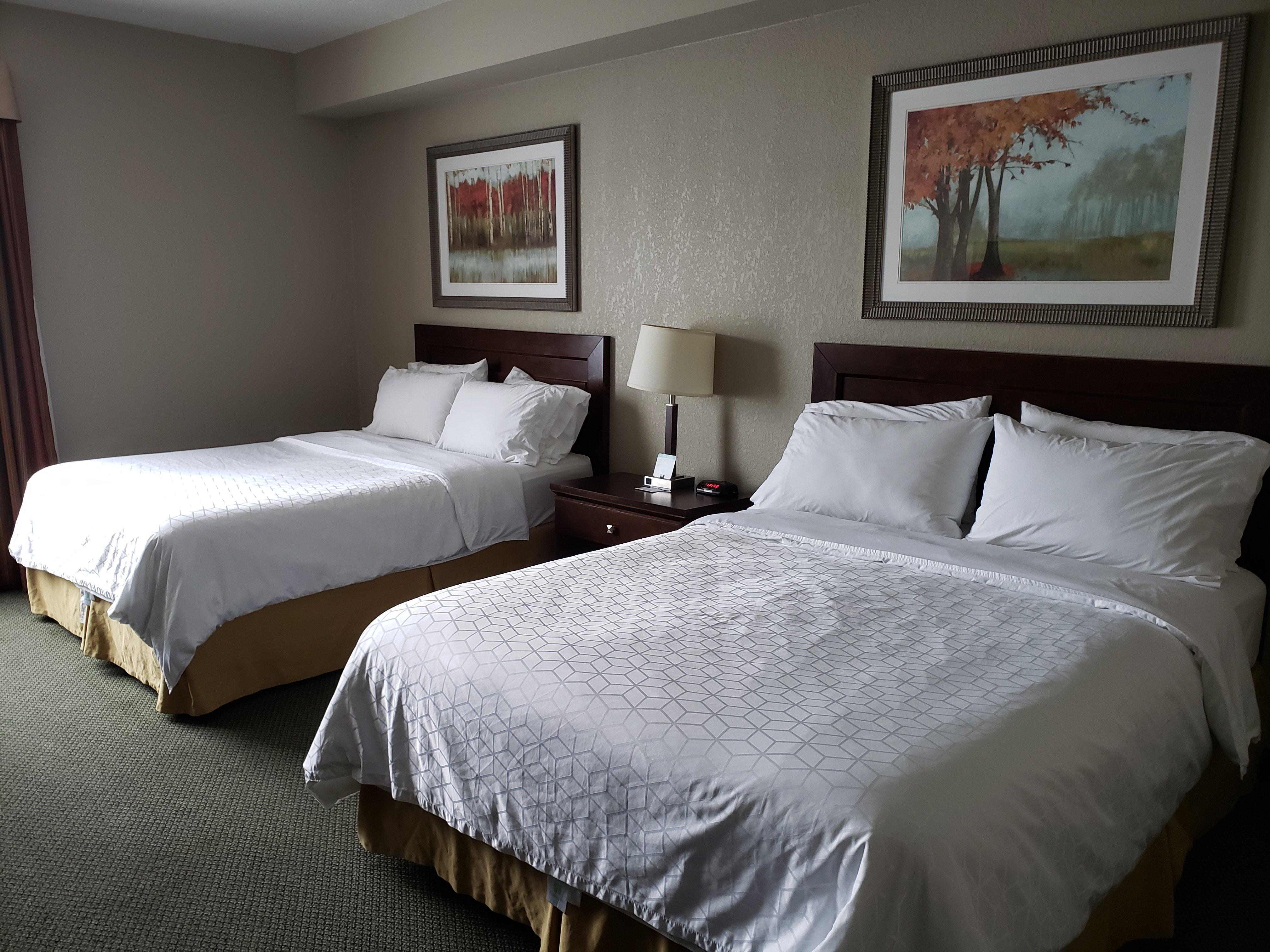 Holiday Inn Express Dryden By Ihg Eksteriør bilde